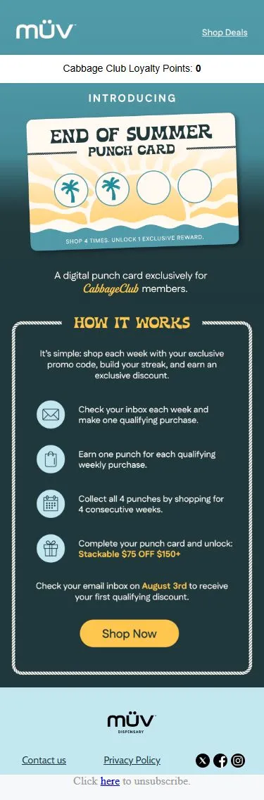 🎉 Introducing the End of Summer Punch Card!