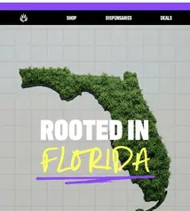 Locally grown cannabis rooted in quality