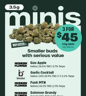 End The Weekend With minis 🏈 🌱