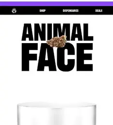 Friday calls for Animal Face flower