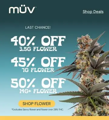 Sunny Savings ☀️ Up to 50% OFF Flower