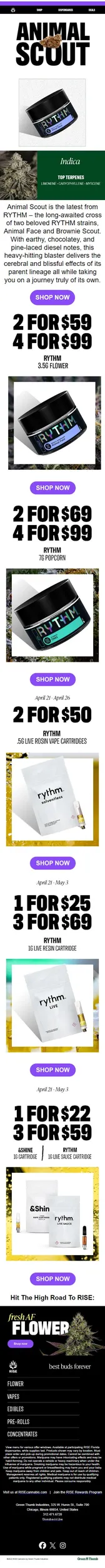 FLOWER FRIDAY: Animal Scout – RYTHM’s newest banger