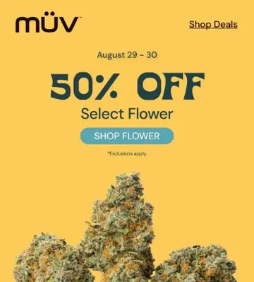 Saturday Starts With 50% OFF ☀️🌿