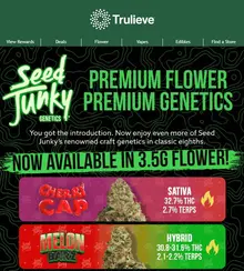 NEW! Seed Junky Flower Drop Up to 33% THC 🔥