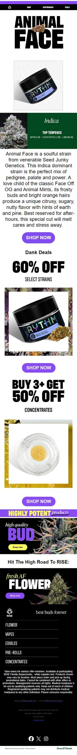 FLOWER FRIDAY: 🌿Animal Face🌿