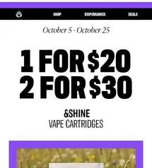 DON'T MISS OUT: $20 VAPES