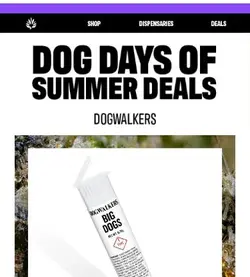Stock up for summer’s last sesh