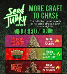The Legend Grows with Seed Junky 💚