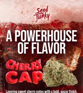 Seed Junky Just Raised The Bar 🌱 📈