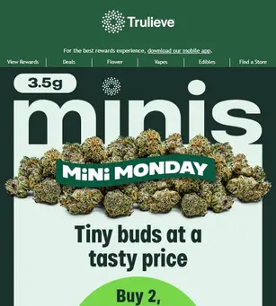 Kick Off the Week With minis 🌿