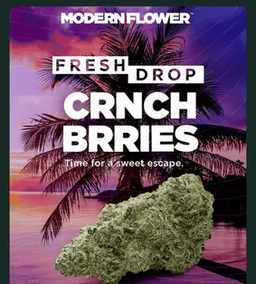 Modern Flower Crnch Brries at 27.1% THC🫐🔥