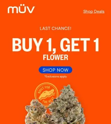 Sunday Fun-Day ☀️🍃 BOGO Flower