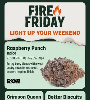 Fire Friday: Raspberry Punch 8ths up to 31.5% THC🍃