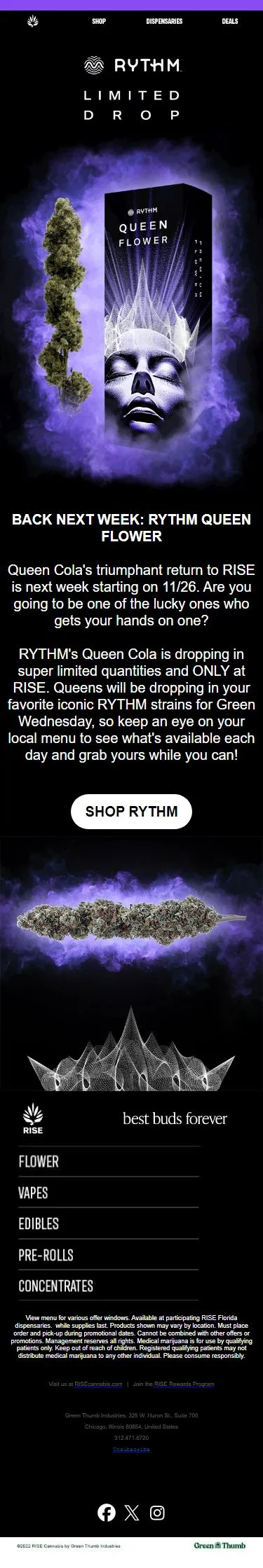 NEXT WEEK: RYTHM QUEEN FLOWER