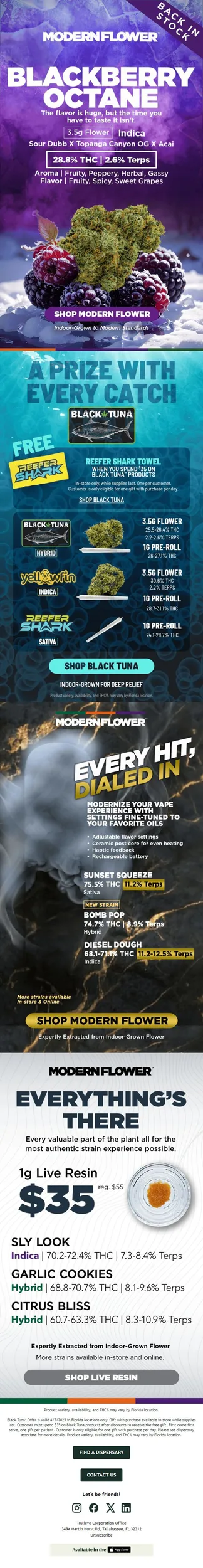 She’s Back 🍇 Blackberry Octane from Modern Flower