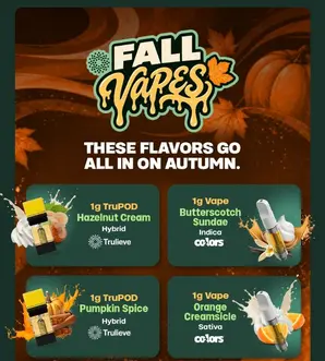 Fall Vapes Are Bringing The Flavor 🍂💨