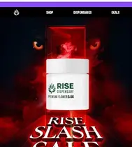 SLASH SALE 🔪 50% off &Shine flower
