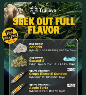 Terps on the Hunt? Find Your Next Obsession 🌿