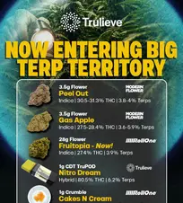 High Terps. Higher Standards. 🏆