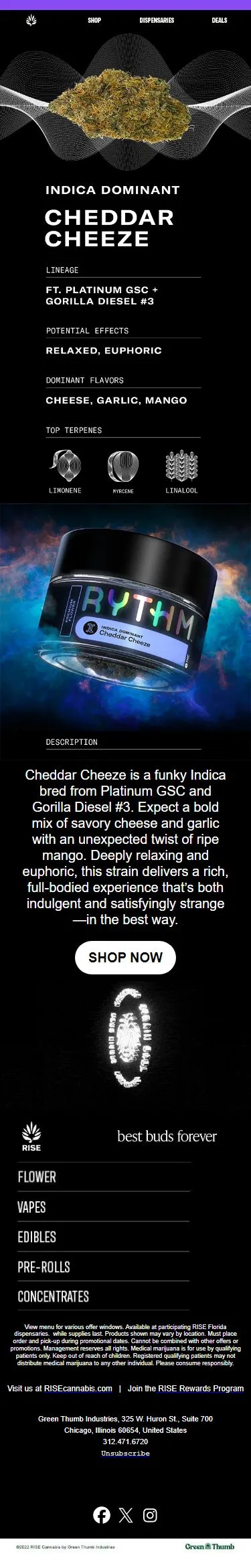 JUST DROPPED: Cheddar Cheeze from RYTHM