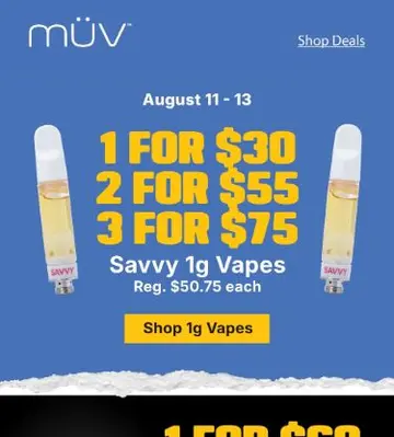 Beat the Heat with Savvy Savings 🌡️