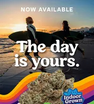 The Day is Yours with Daybreaker 🏄‍♂️