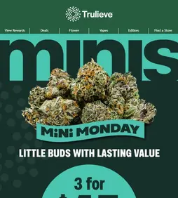 Minis are now 3 for $45! 💚