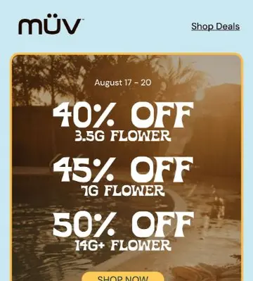 Summer Savings Are Heating Up 🥵