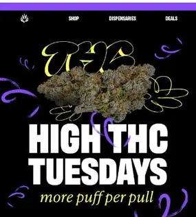 THC LEVELS: MASSIVE🔥🔥🔥