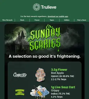 Frightfully Good Picks for Your Sunday Scaries 👻