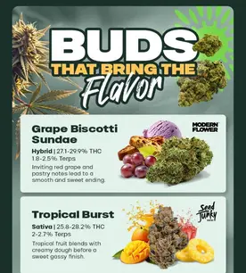 Flavor Forward Flower: Three Strains, All the Vibes🍇💥