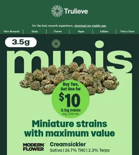 minis are calling… Buy 2, Get 1 for $10👀🌿
